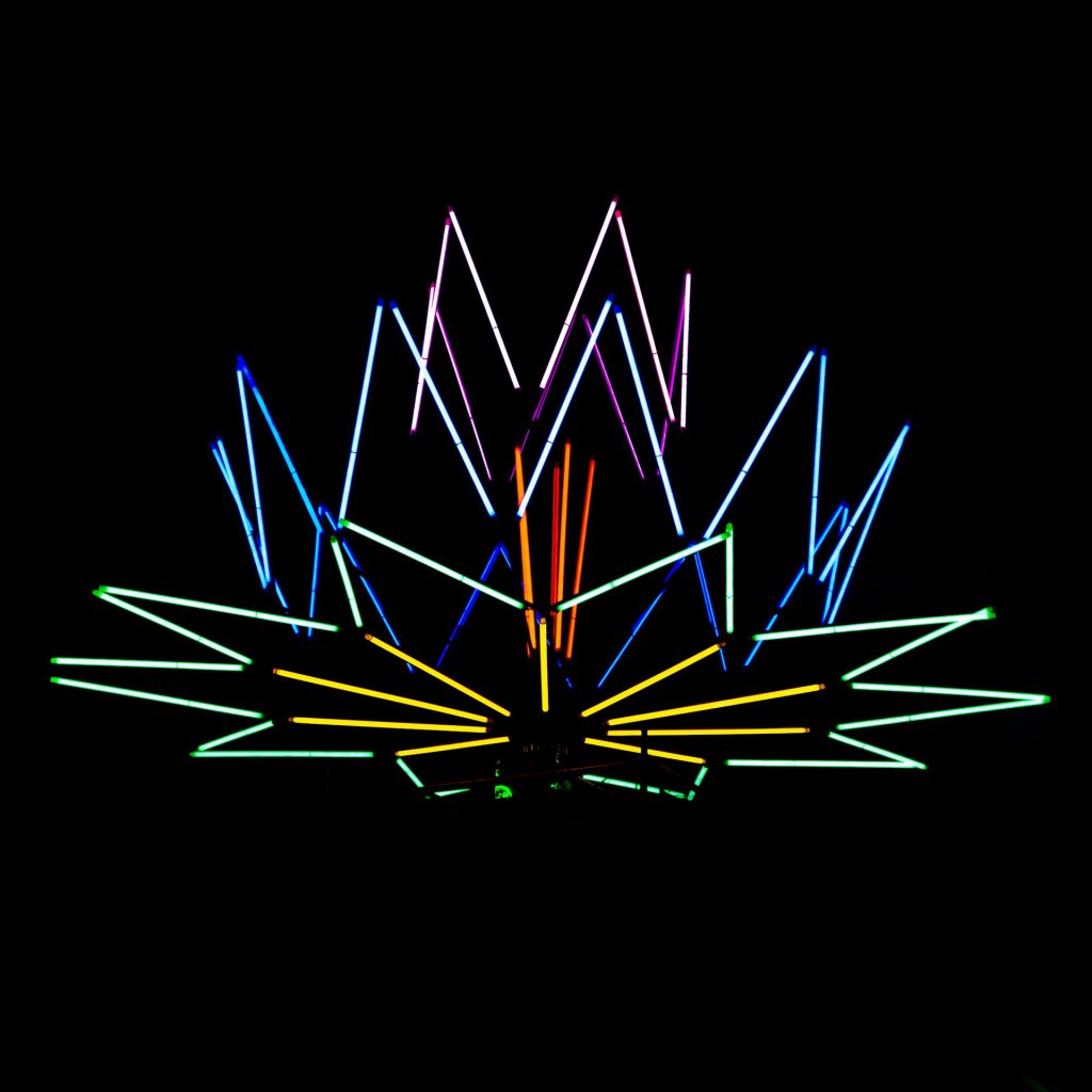 Image of neon lights forming the shape of a leaf