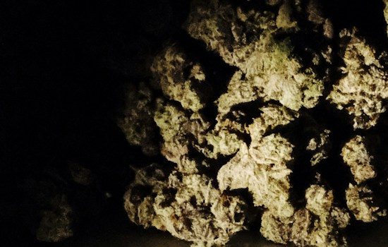 Test – No featured image